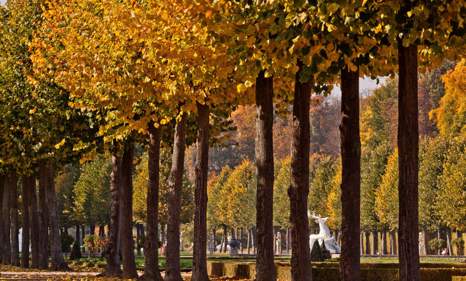 07 Schwetzingen, Schwetzinger Schlossgarten: 