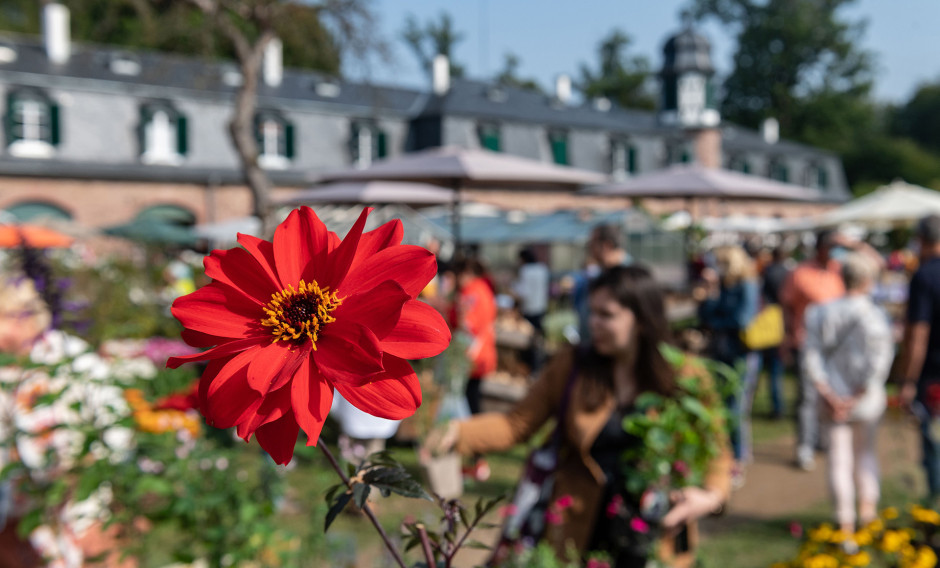 12 Langen, Wolfsgartenfest: 